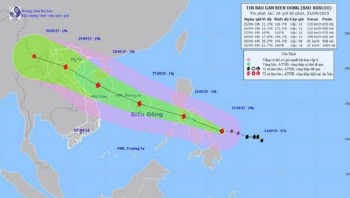 Thông Báo Khẩn: Tạm Dừng Một Số Tàu Do Ảnh Hưởng Của Cơn Bão Số 10