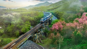 Đường Sắt Việt Nam Tăng Cường Chuyến Phục Vụ Tết Dương Lịch 2026